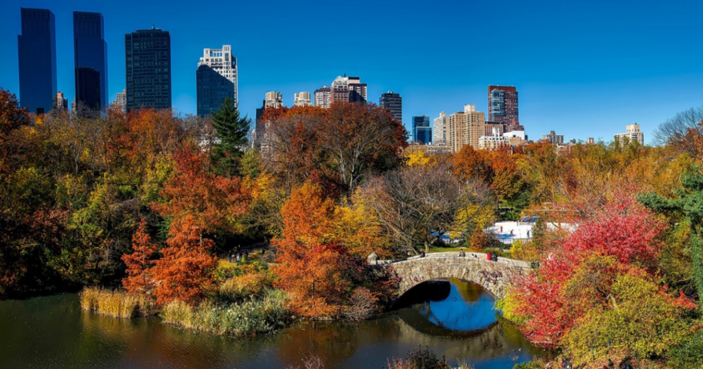 9 Fall Budget-Friendly Things to Do in New York